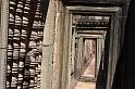 IMG_3933